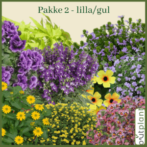 Blomster pakke 2(lilla/gul)