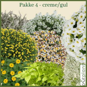 Blomster pakke 4 (creme/gul)